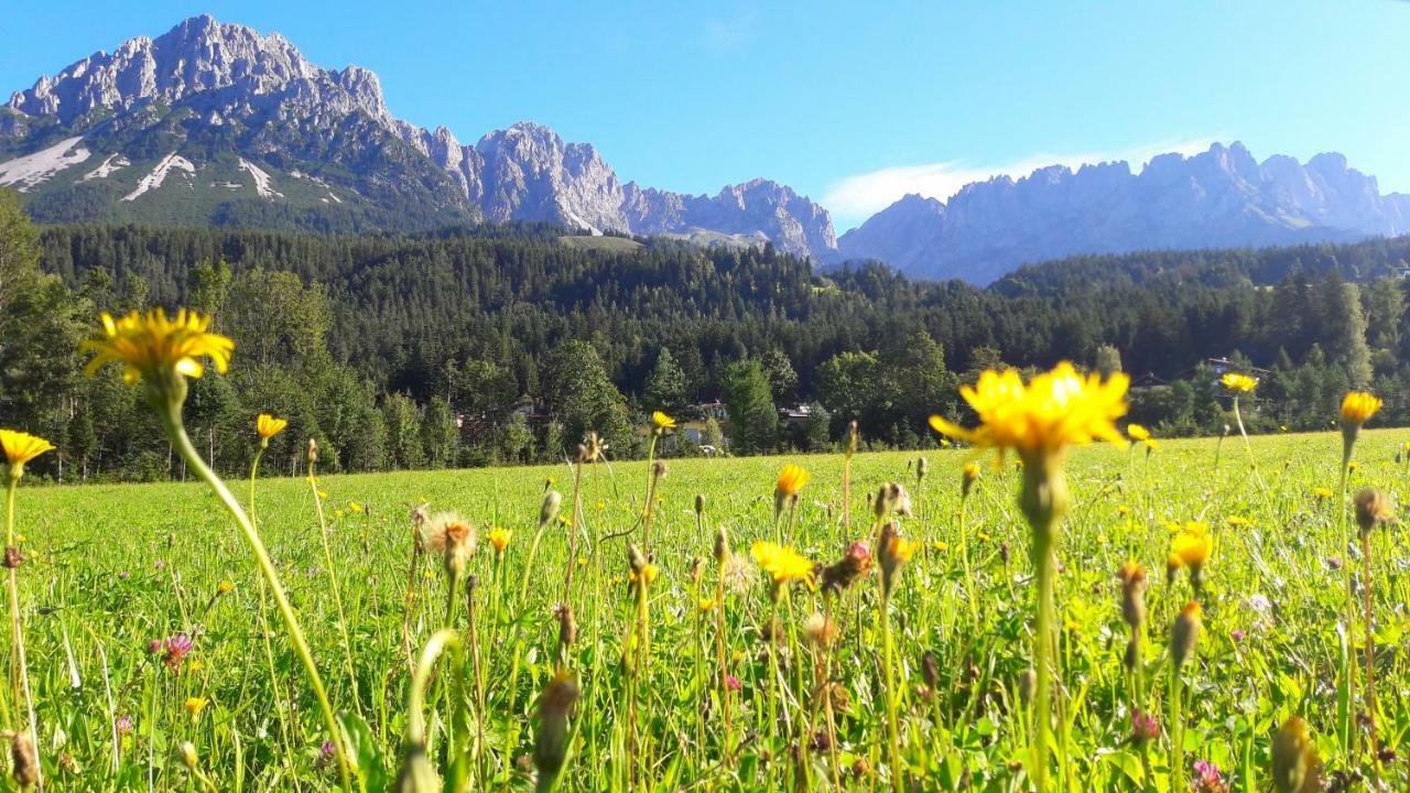 Landhaus Bergmoment - Adults Only Ellmau Bagian luar foto